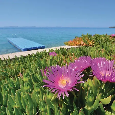 Apartment Apartment Kozino I Zadar